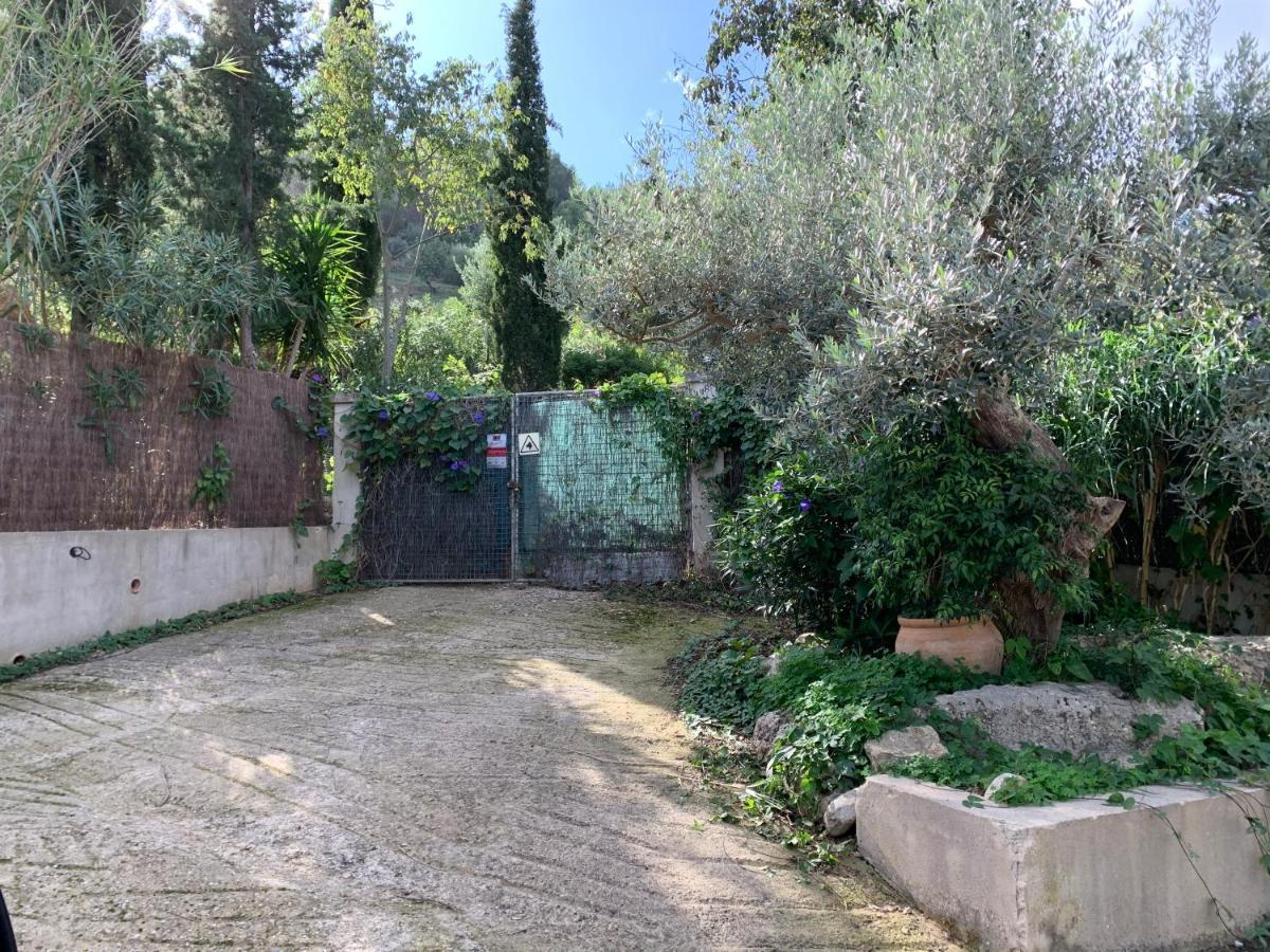 Sa Penya D'es Vent * Selva (Mallorca)